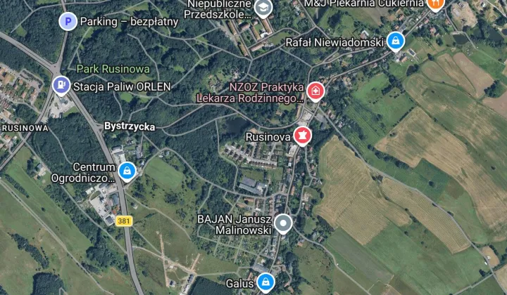 dom wolnostojący, 5 pokoi Wałbrzych Rusinowa, ul. Wiosenna