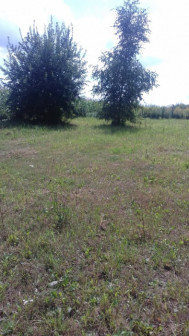 Działka budowlana Bibice, ul. Graniczna