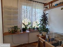 Mieszkanie 3-pokojowe Poniatowa, ul. Stefana Żeromskiego. Zdjęcie 3