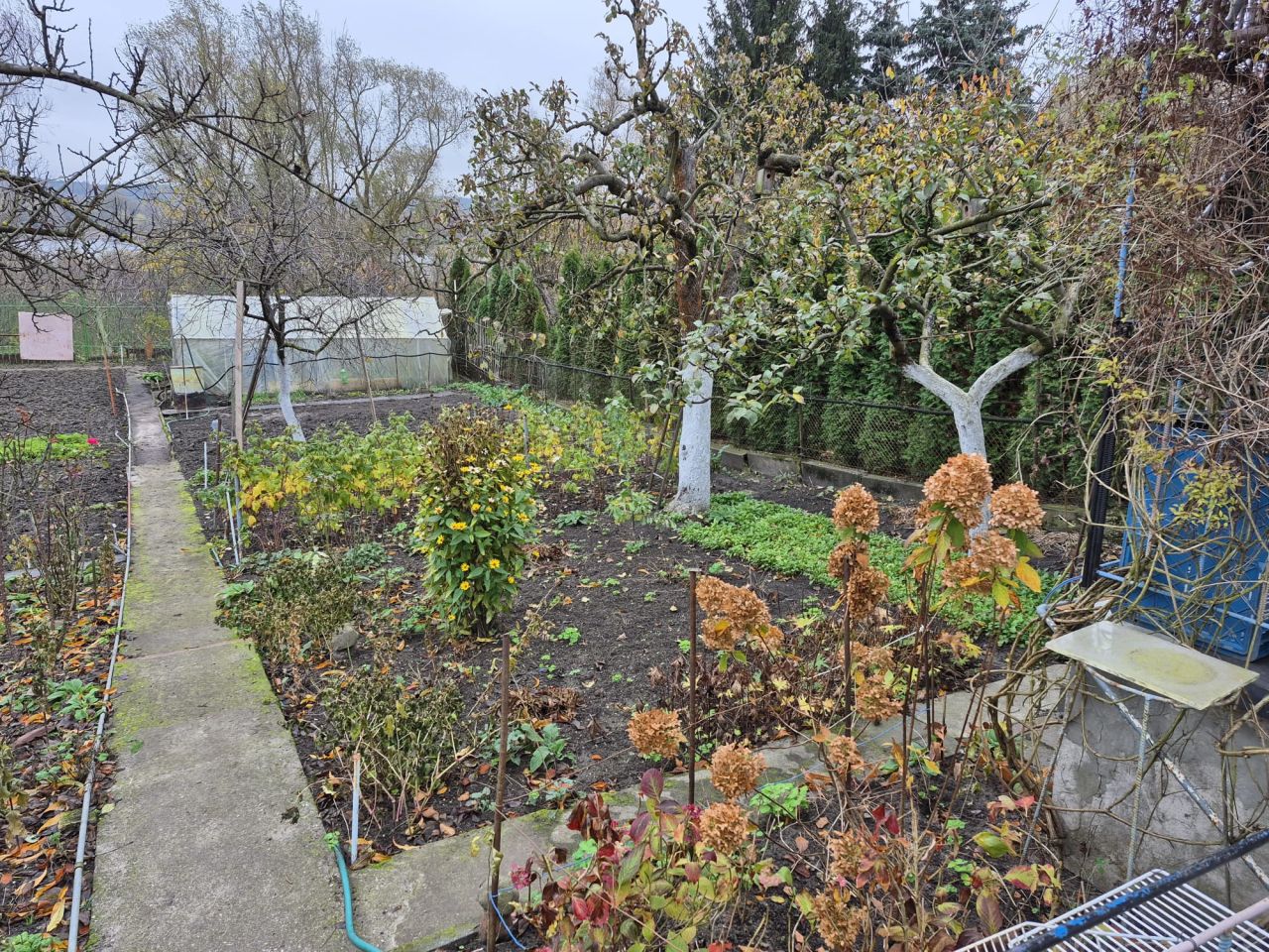 Działka rod Włocławek Zazamcze, ul. Toruńska. Zdjęcie 7