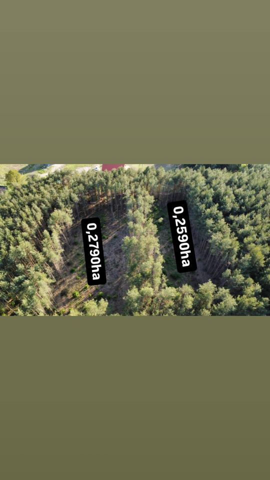 Działka budowlana Białobrzeskie. Zdjęcie 6