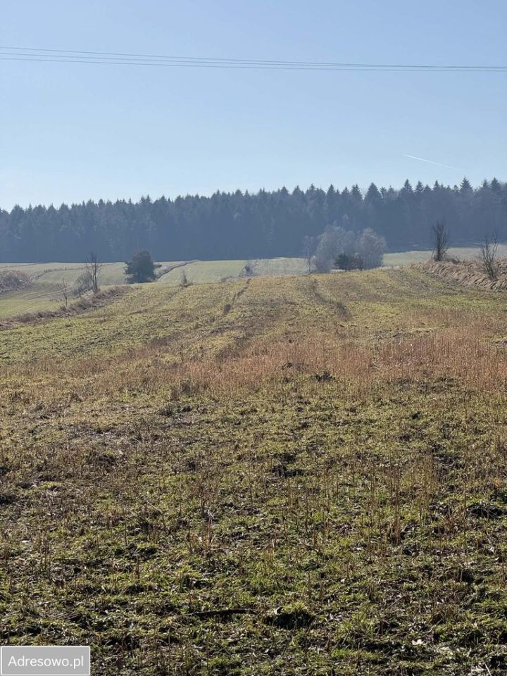 Działka rolno-budowlana Szypowice. Zdjęcie 4