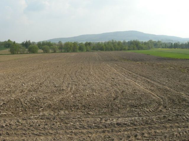 Działka rolna Mysłaków. Zdjęcie 1