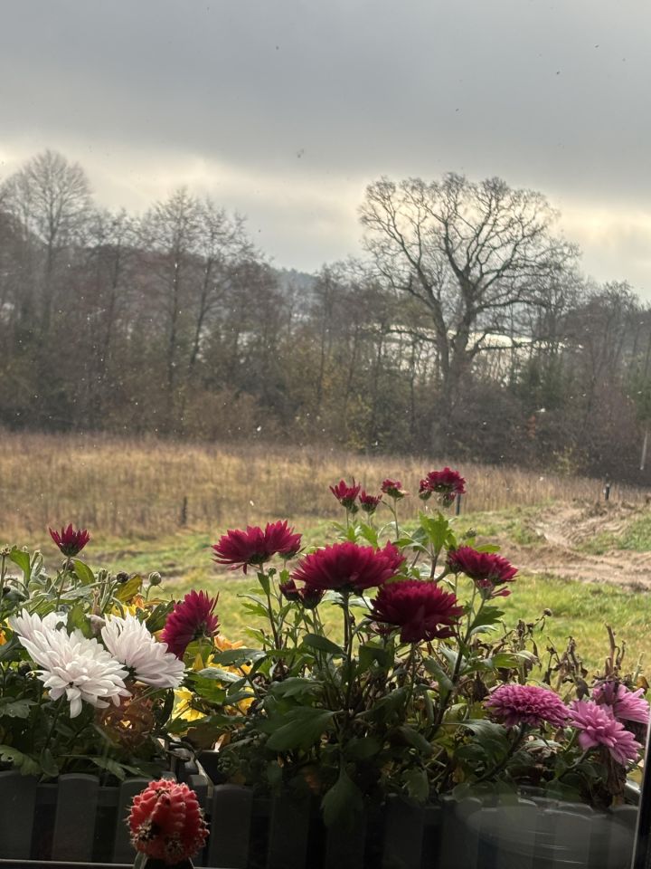 dom wolnostojący, 4 pokoje Drawsko Pomorskie, Nieokreślona. Zdjęcie 21