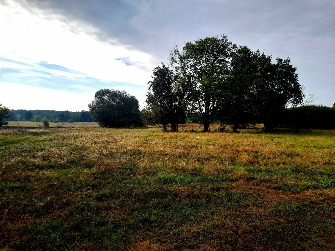 Działka budowlana Kropiwki. Zdjęcie 5