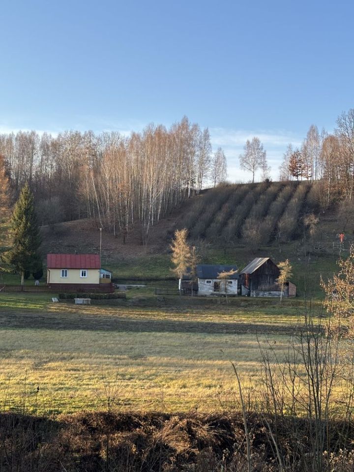 Działka siedliskowa Witoszyn. Zdjęcie 5