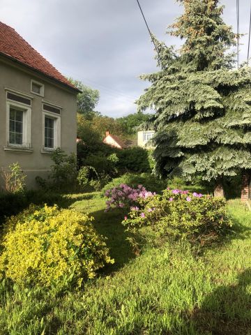 gospodarstwo, 5 pokoi Krosno Odrzańskie, ul. Wiejska. Zdjęcie 1