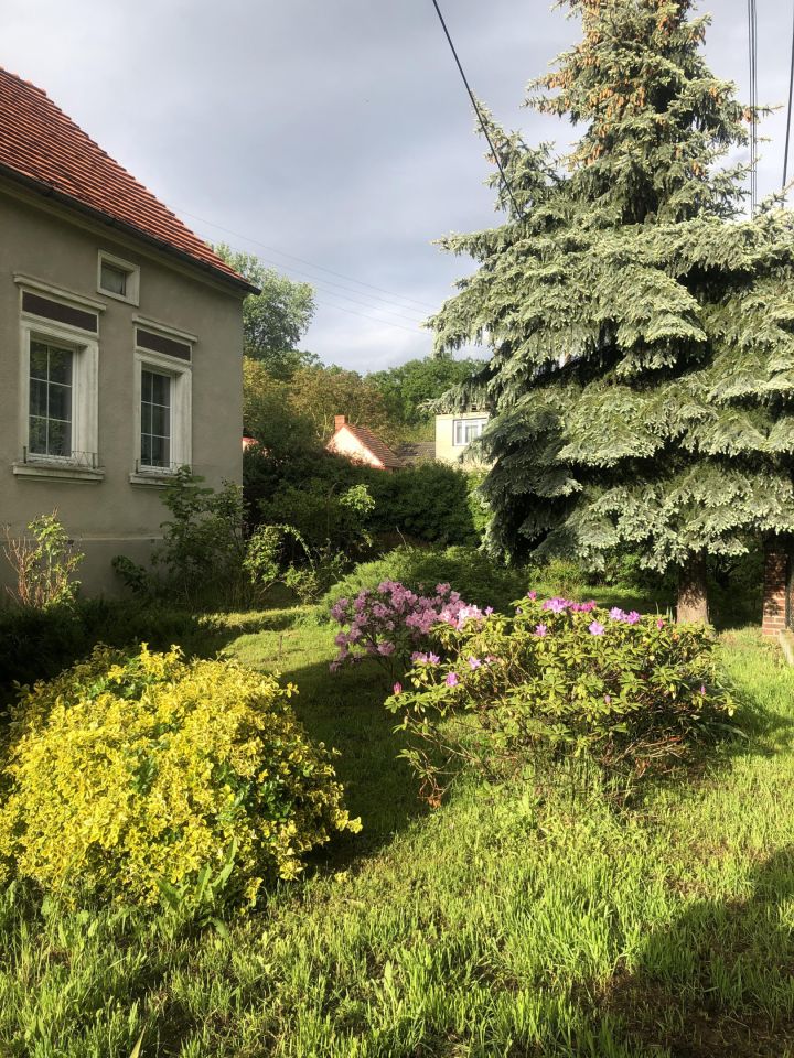 gospodarstwo, 5 pokoi Krosno Odrzańskie, ul. Wiejska. Zdjęcie 8