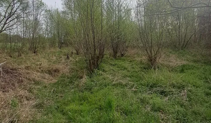 Działka budowlana Kalisz Rypinek, ul. Wał Piastowski