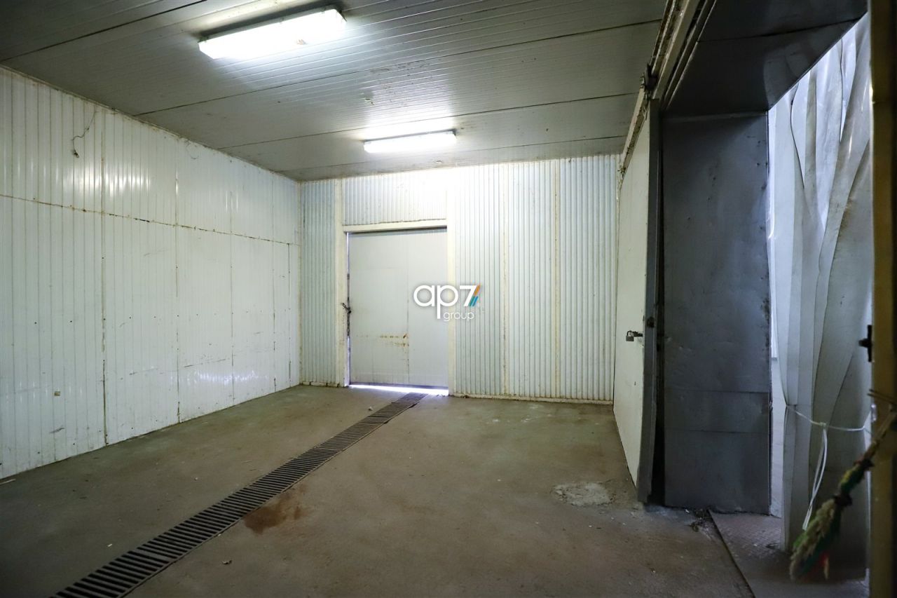 Hala/magazyn Kraków Podgórze. Zdjęcie 3
