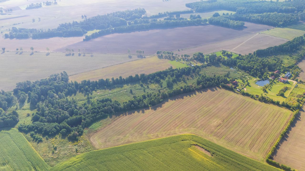 Działka budowlana Wierzbowo. Zdjęcie 3