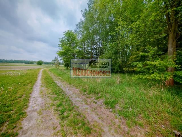 Działka rolno-budowlana Dłużew. Zdjęcie 9