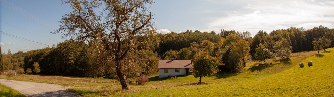 Działka rolno-budowlana Lewniowa. Zdjęcie 3