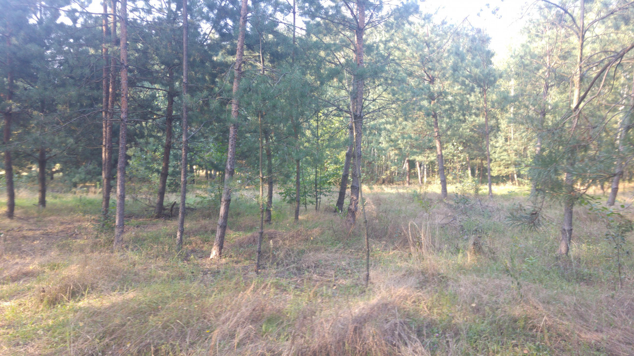 Działka budowlana Lipiny, ul. Bankowa. Zdjęcie 3