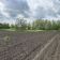 Działka budowlana Rakowiec, ul. Wschodnia. Zdjęcie 1