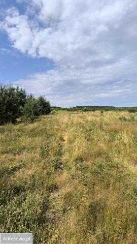 Działka rolno-budowlana Miękoszyn. Zdjęcie 1