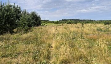 Działka rolno-budowlana Miękoszyn