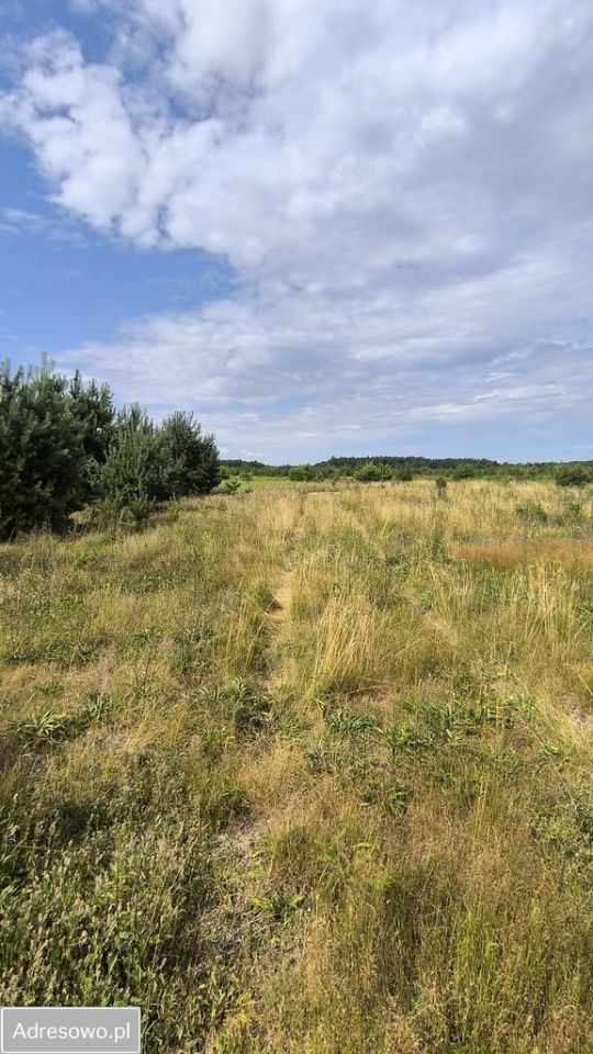 Działka rolno-budowlana Miękoszyn