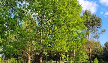 Działka budowlana Konary, Brzozowa