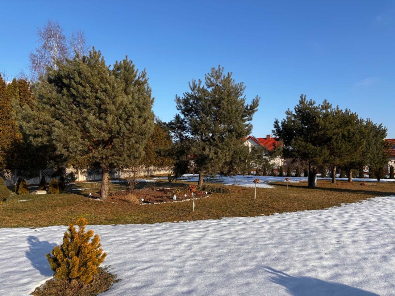 Działka budowlana Emilin. Zdjęcie 4