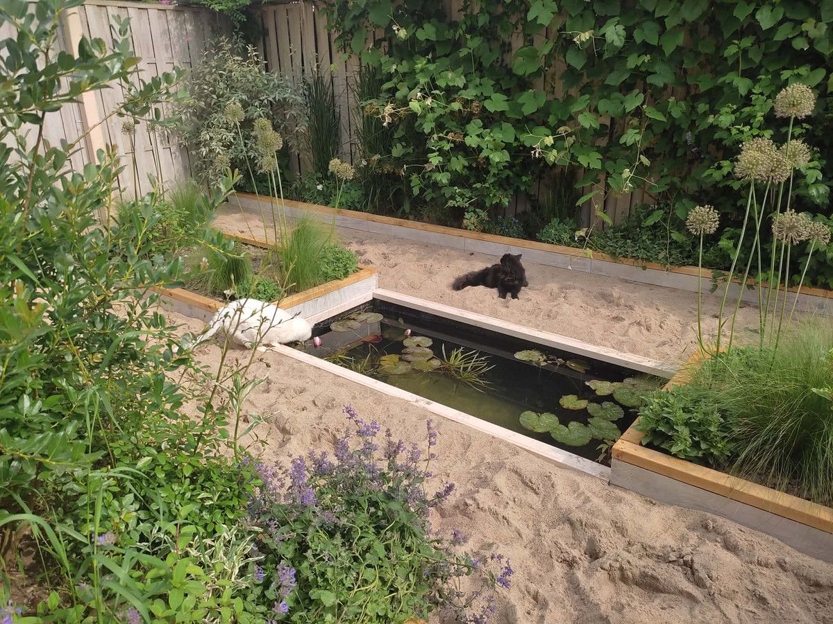 Mieszkanie 3-pokojowe Lutynia. Zdjęcie 2