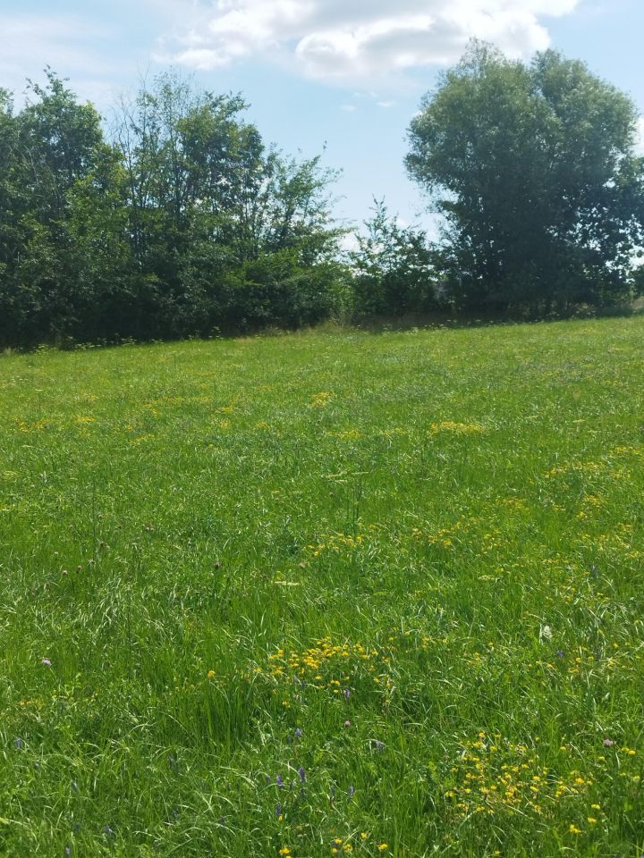 Działka budowlana Sobolew, ul. Podlasie. Zdjęcie 3