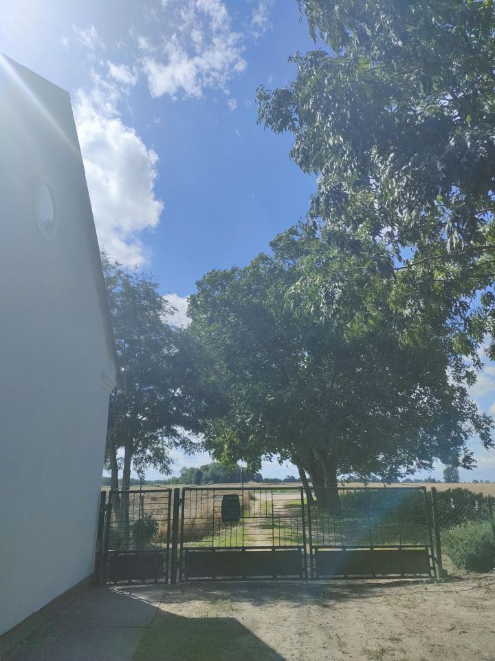 gospodarstwo, 2 pokoje Raszewo Włościańskie. Zdjęcie 8