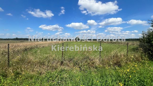 Działka budowlana Studzianki. Zdjęcie 7