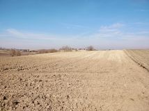 Działka rolna Piotrkowice Małe Kresy. Zdjęcie 4