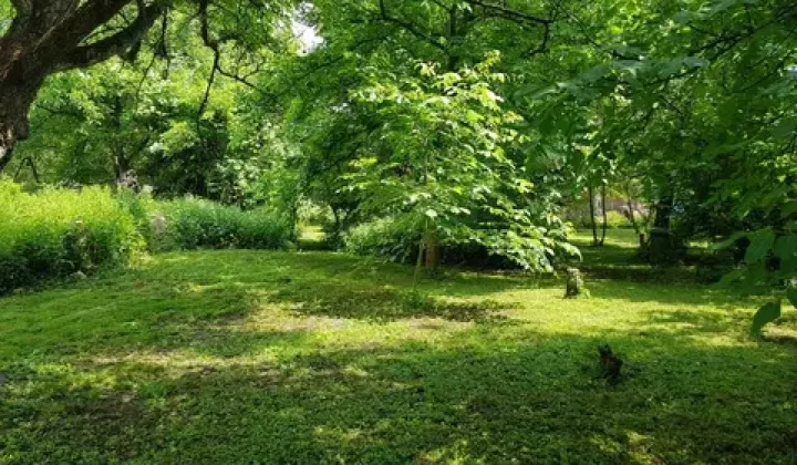 Działka budowlana Trojanowice, ul. Wąwozowa