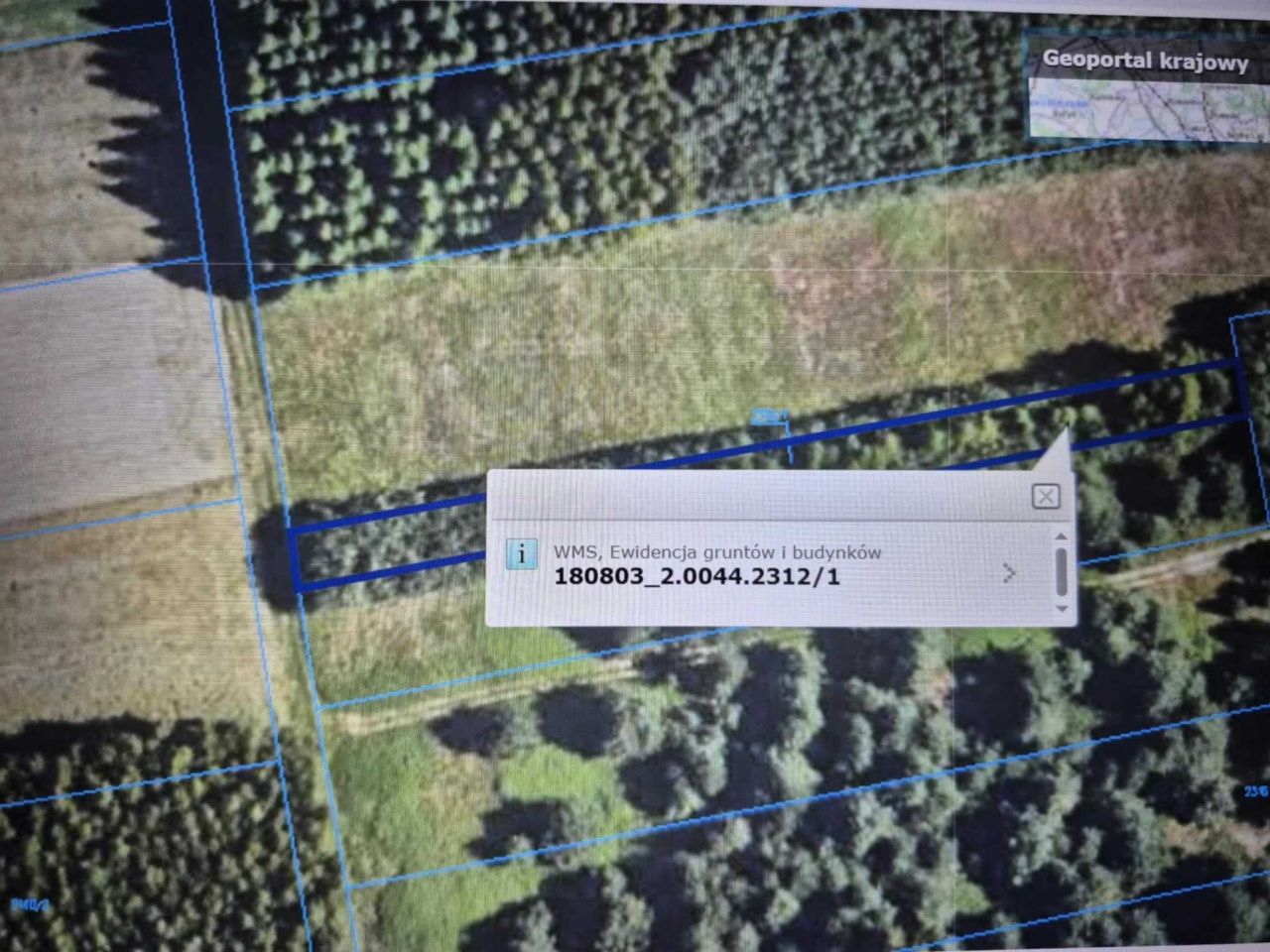 Działka leśna Kuryłówka. Zdjęcie 3