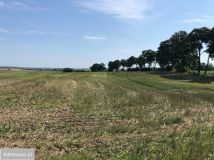 Działka rolna Lekity. Zdjęcie 4