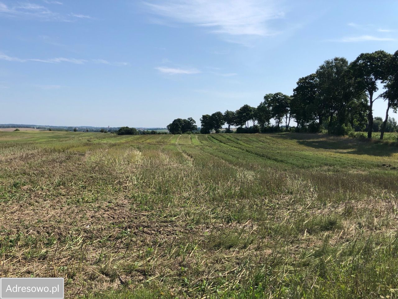 Działka rolna Lekity. Zdjęcie 5