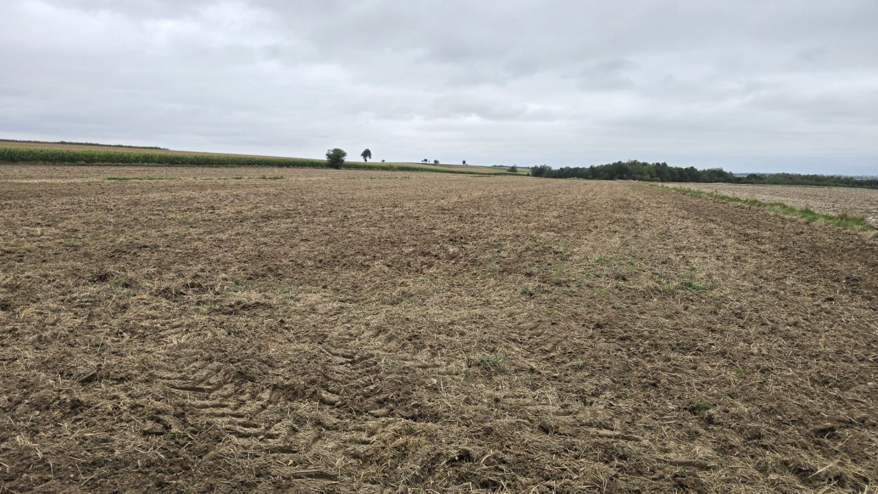 Działka rolno-budowlana Tokarówka. Zdjęcie 5