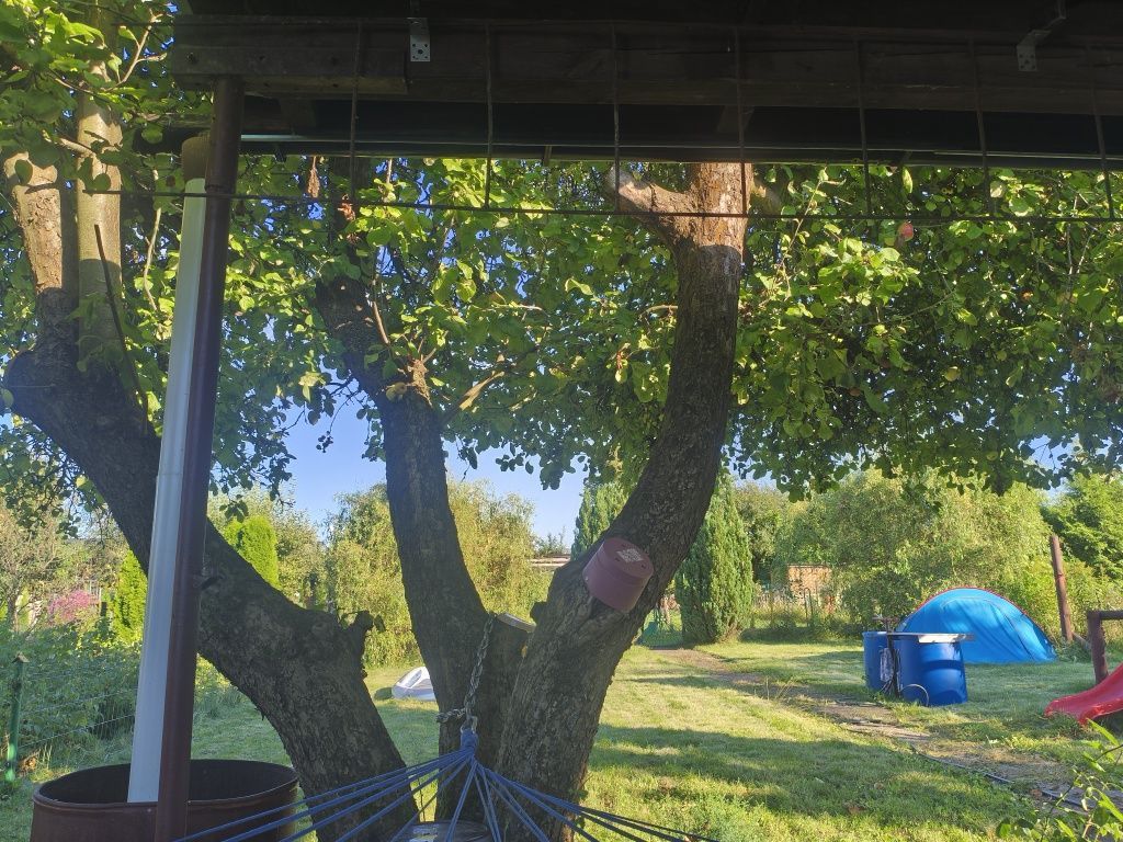 Działka rod Toruń. Zdjęcie 7