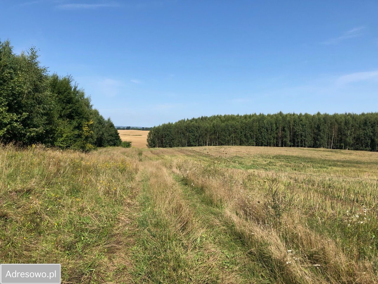 Działka rolna Lekity. Zdjęcie 15