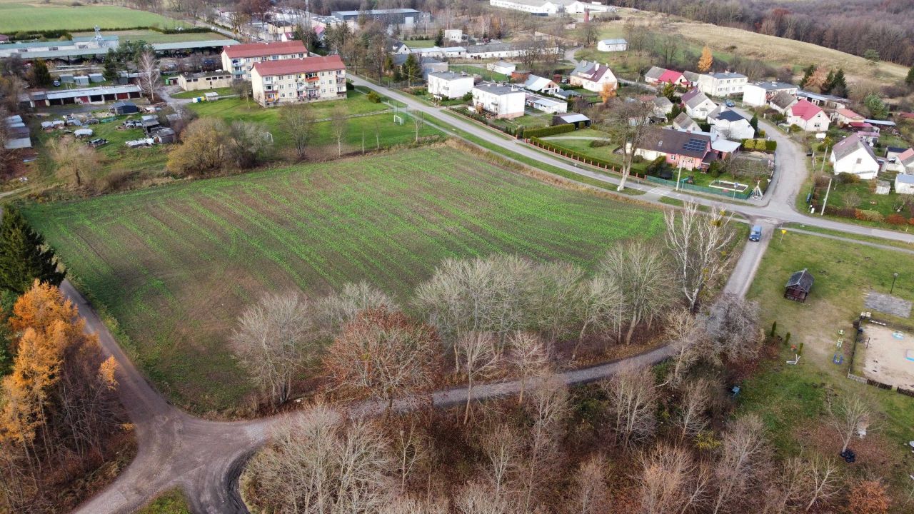 Działka rolno-budowlana Drzewiany. Zdjęcie 6