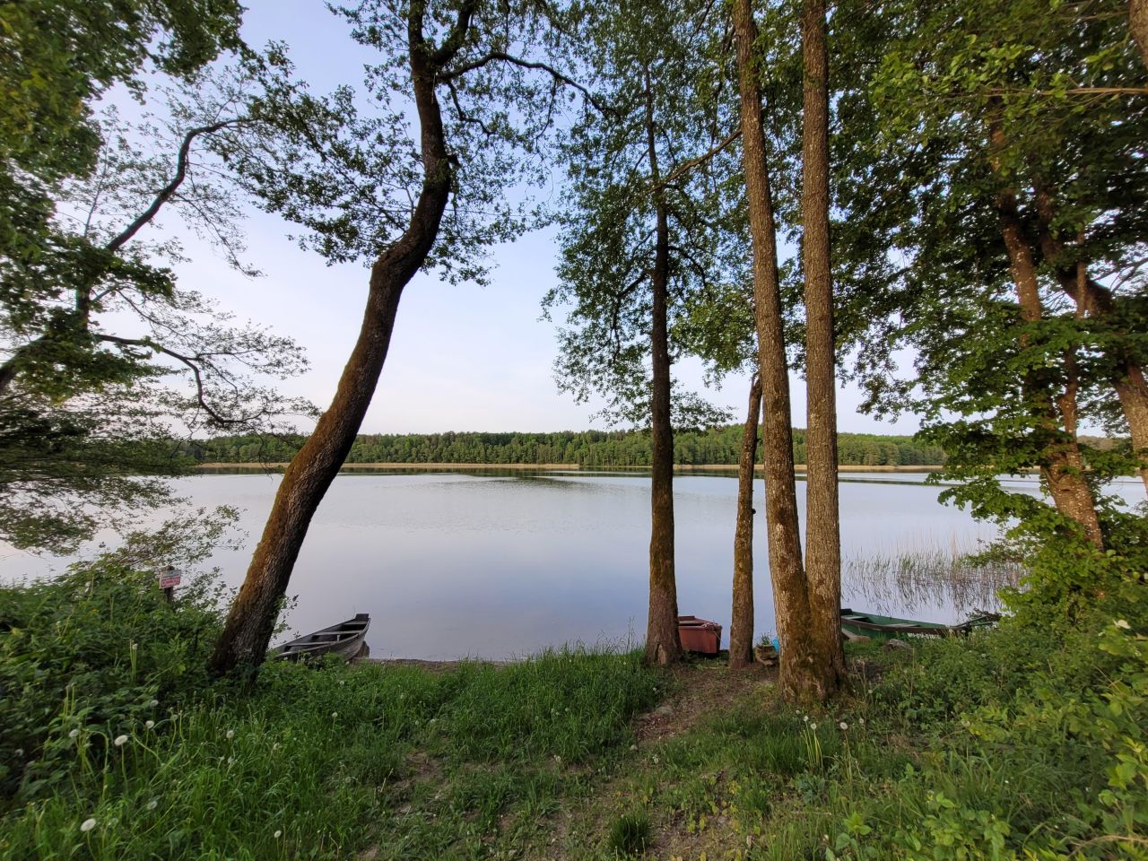 Działka leśna Pluszkiejmy. Zdjęcie 14