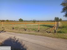 Działka inwestycyjna Warężyn Kuźnica Warężyńska, ul. Podleśna. Zdjęcie 1