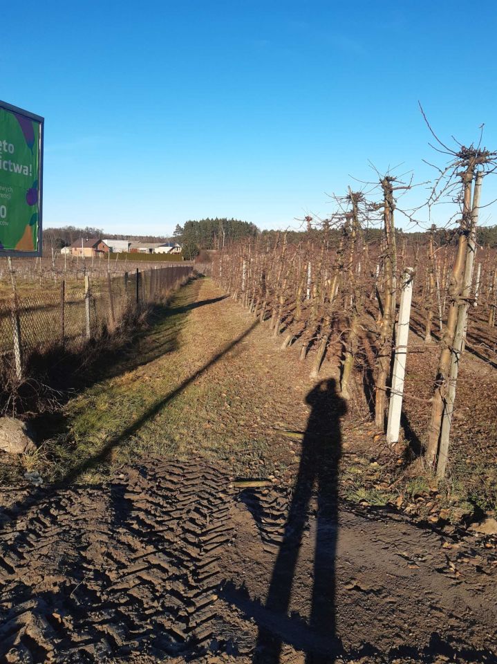 Działka rolno-budowlana Nowy Żelechów. Zdjęcie 6