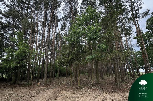 Działka rolno-budowlana Brzeszczki Duże. Zdjęcie 5
