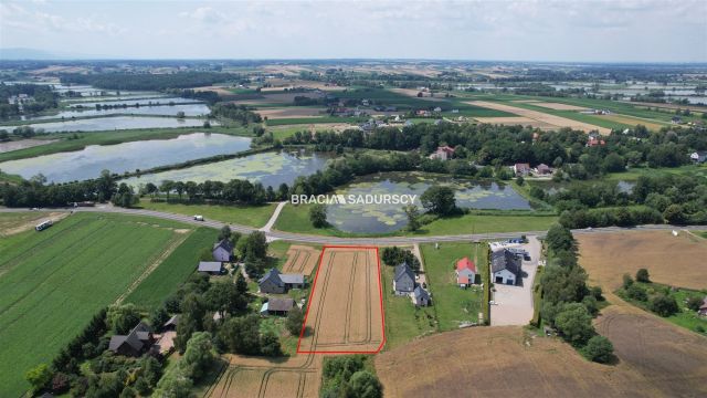 Działka inwestycyjna Rudze. Zdjęcie 9