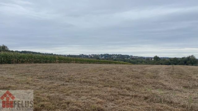 Działka rolna Czułówek. Zdjęcie 8