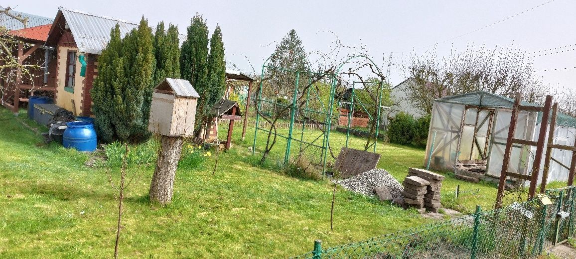 Działka rod Gorzów Wielkopolski. Zdjęcie 3