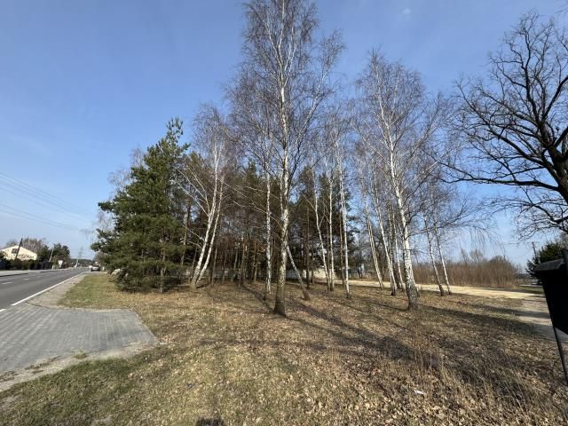 Działka budowlana Rżyska. Zdjęcie 1