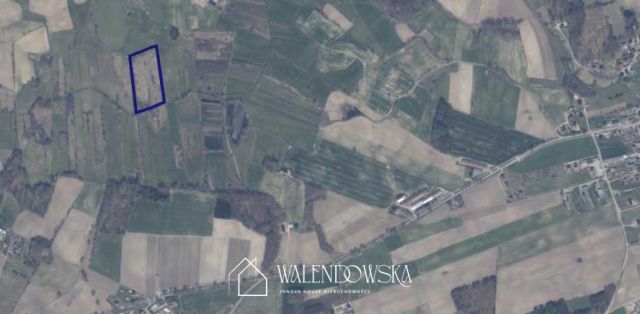 Działka rolna Gowidlino. Zdjęcie 4