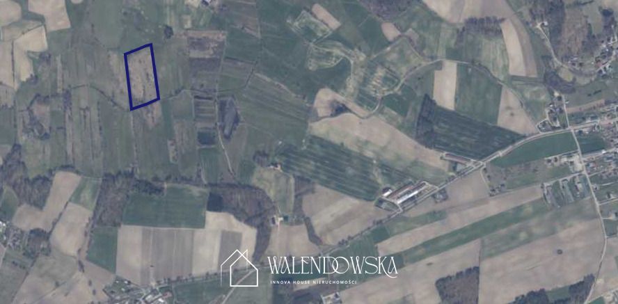 Działka rolna Gowidlino. Zdjęcie 4