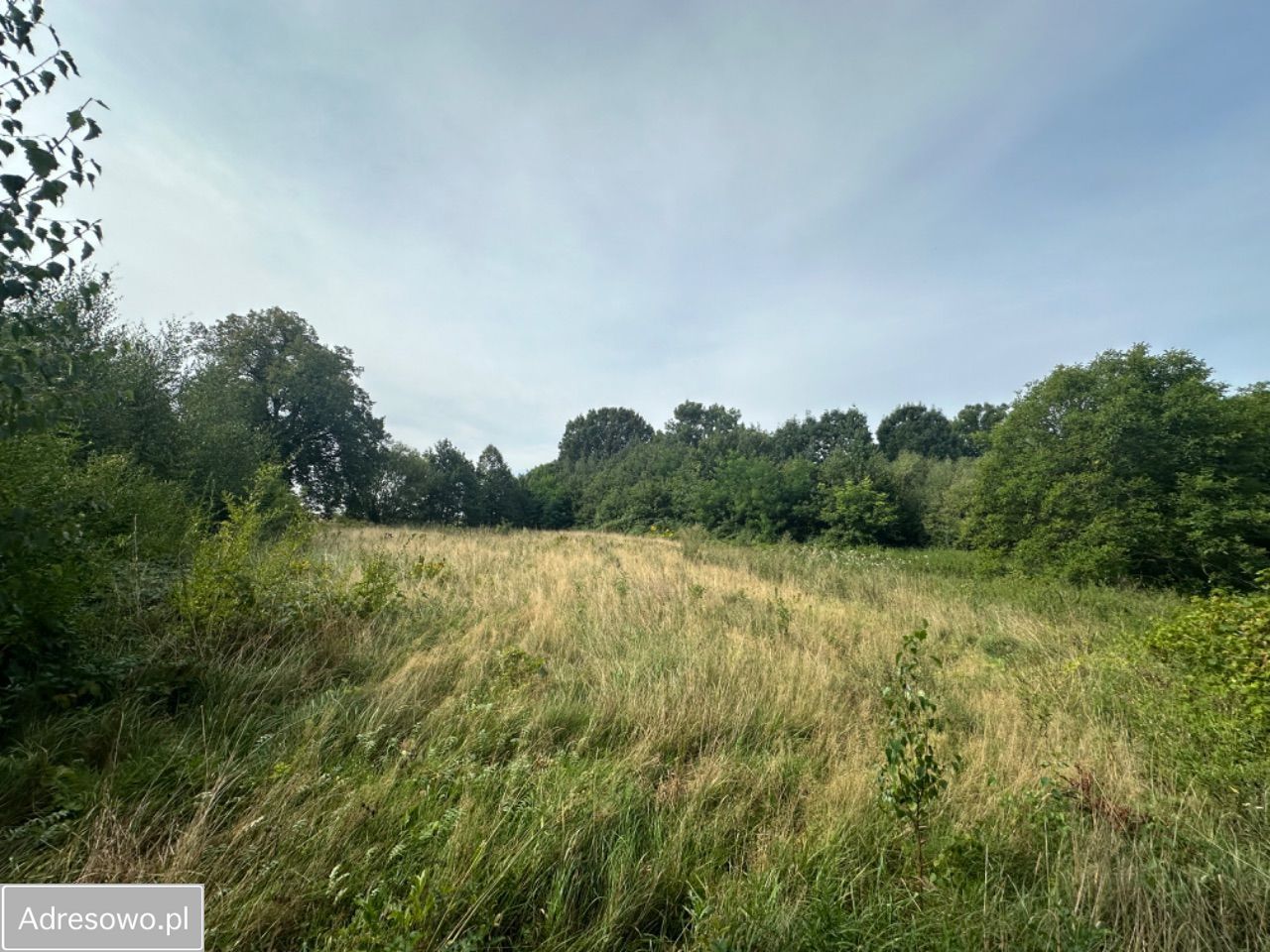 Działka budowlana Jaźwina. Zdjęcie 3