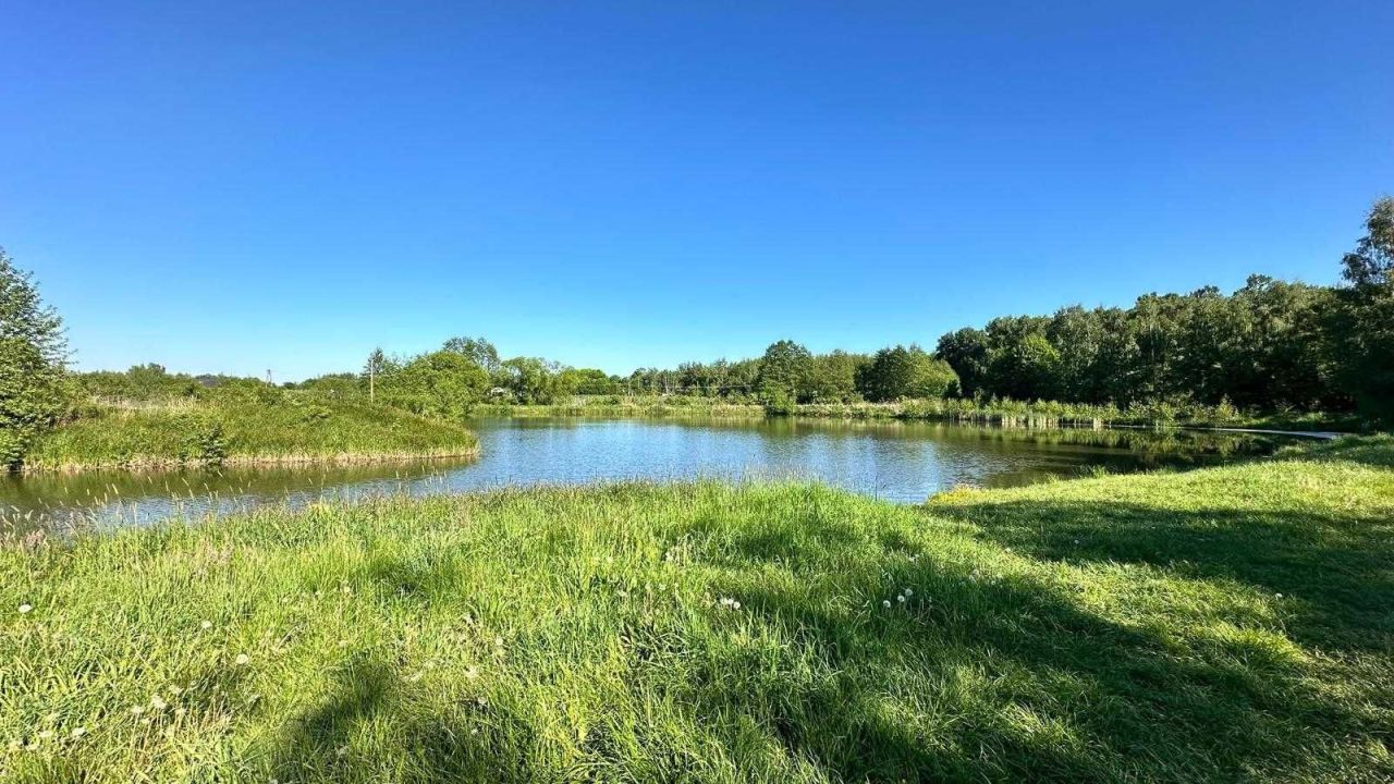 Działka rolna Tuszynek Majoracki. Zdjęcie 4