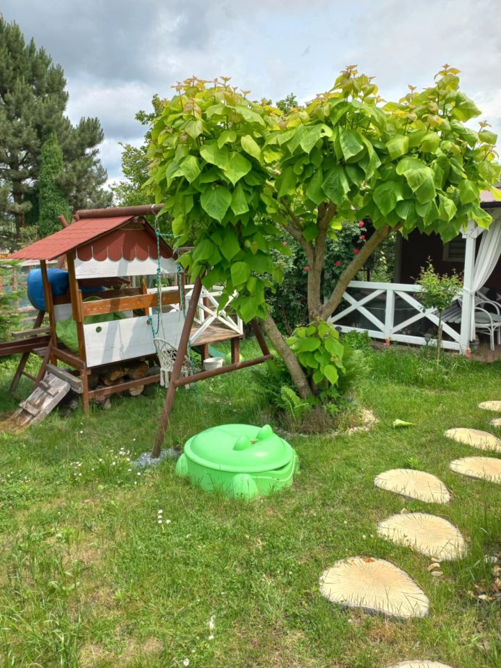 Działka rod Dys Bernatówka, ul. Bernatówka. Zdjęcie 4